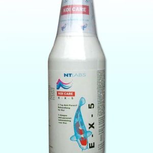 E-X-5 Tages Kur 250 ml